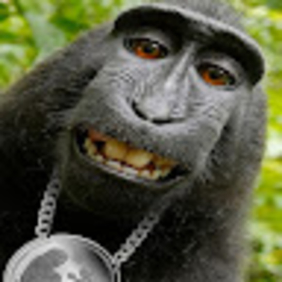 ignatyv